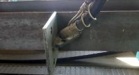 Robot de soldadura KALTENBACH KWR 601 2015-Foto 11