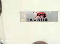 立式插床 TAURUS DA-350 2006-照片 8